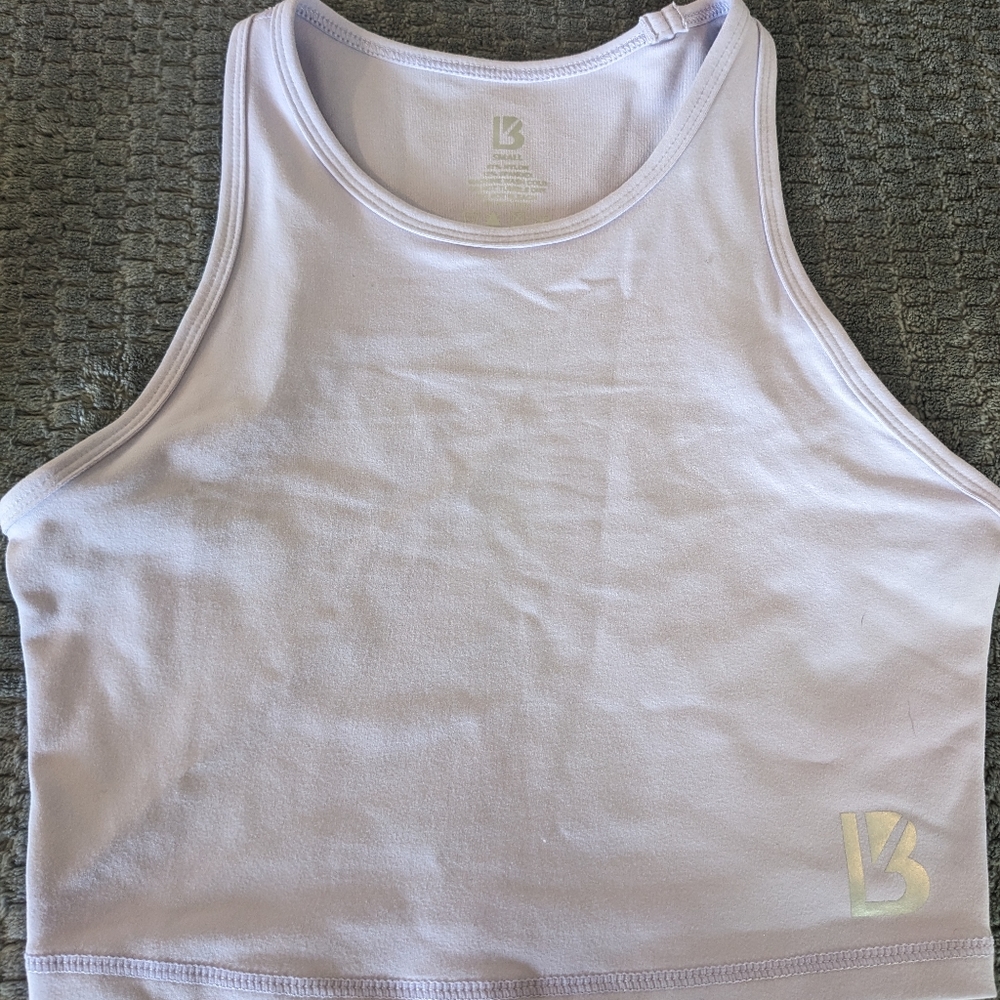 Buffbunny Aurora Crop Top in Lavender